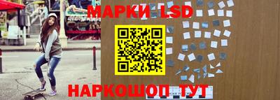 стаф Славгород