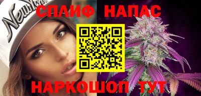 стаф Славгород