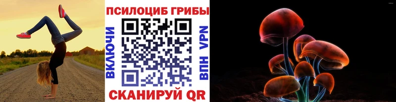 Галлюциногенные грибы мицелий  OMG ссылка  Реутов 